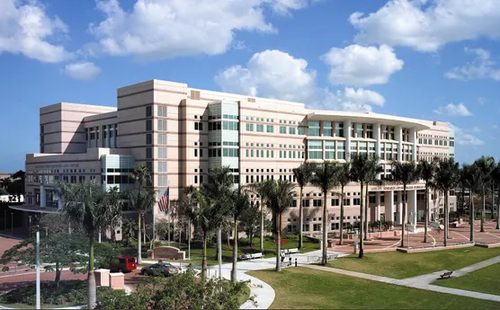 Top 10 Univercities In Florida